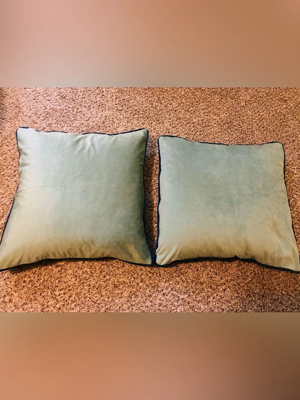NWOT Monday Moose Throw Pillows 🫎